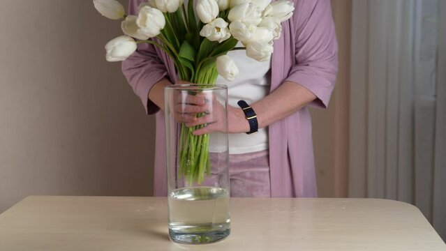 Woman puts bouquet of tulips flowers in vase with water at home. Fresh white blooms picked up in basket. Interior and decor