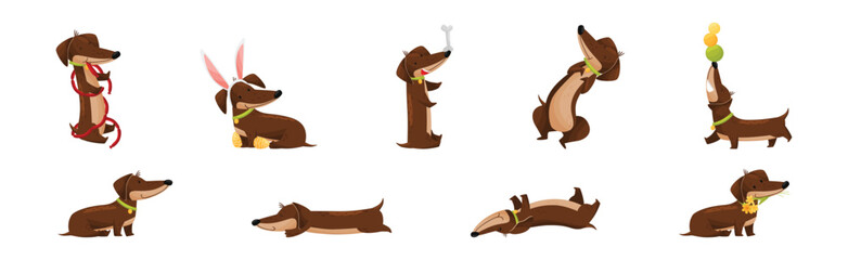 Cute Dachshund Character with Long Body and Collar Vector Set