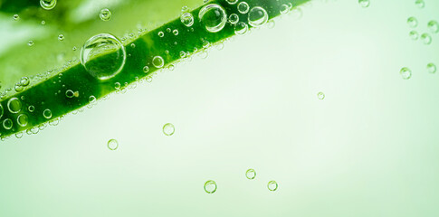 Macro shot of cucumber slice underwater with copy space.