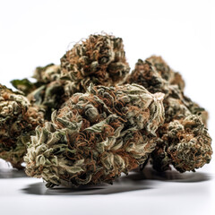 Cannabis Plant & Buds With White Background | Close Weed Shot