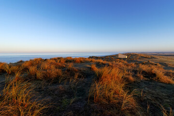 Sand dunes of Bricqueville-sur-Mer beach