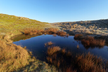 Obraz premium Salt fields of Bricqueville-sur-Mer coast