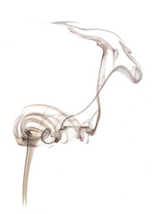 the roadrunner,  fine art abstract photo of fuzzy shapes of smoke on a white background.