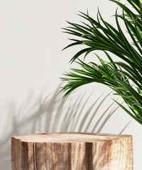 Minimal, natural log wood podium table in sunlight, palm leaf shadow in blank cream white wall for...