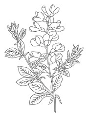 This intricate flower illustration is perfect for coloring enthusiasts of all ages. It features a variety of petals and leaves, ready to be brought to life with your favorite coloring tools.