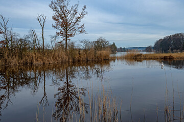 water landscape near Seebruck in Bavaria