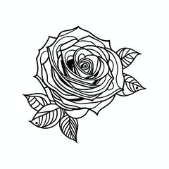 Nice Roses  Vector artwork coloring page, coloring book, black outline hand drawn sketch. Vector element for natural, wedding design, plant, botanical illustration, coloring book, line art.