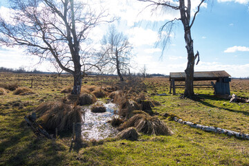 Naturschutzgebiet Leipheimer Moos, Wasserlauf an der Schafhütte