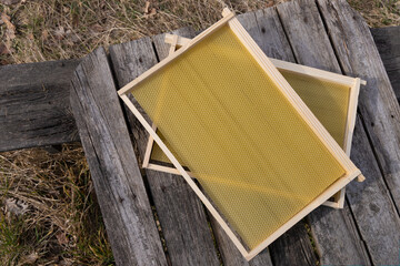 Wooden frames for bee evidence with a wax base