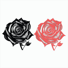 Two Nice Roses Vector artwork coloring page, coloring book, leaves, black outline hand drawn sketch. Vector element for natural, wedding design, plant, botanical illustration, coloring book, line art.