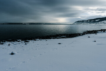 Fox tracks in the fresh snow on the shore of Lake Mjøsa.