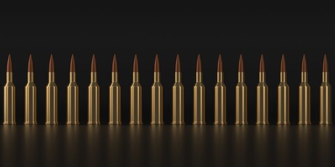 Gun rifle bullets or ammo