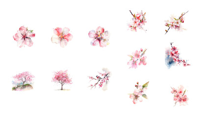美しい桜の水彩画。　Generative AI