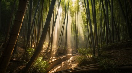 Obraz premium A serene bamboo forest in China with rays of sunlight shining through Generative AI