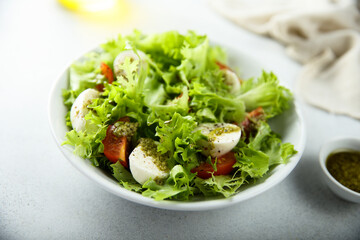 Healthy green salad with mozzarella and tomatoes