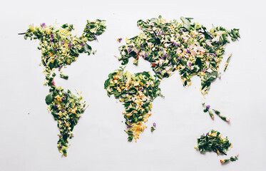 World map made with wild spring flowers petals, leaves and stems on white