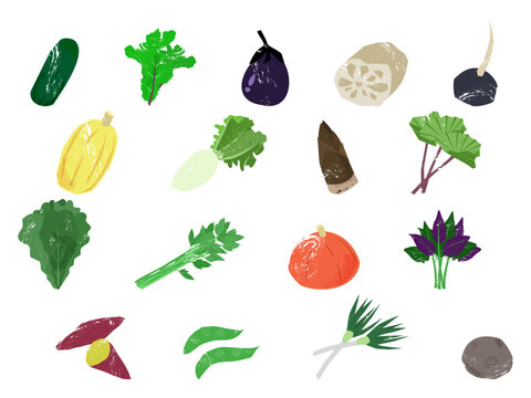 いろいろな加賀野菜
