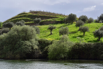 Douro valley, Portugal - march 25 2022 : the picturesque river near Pinhao