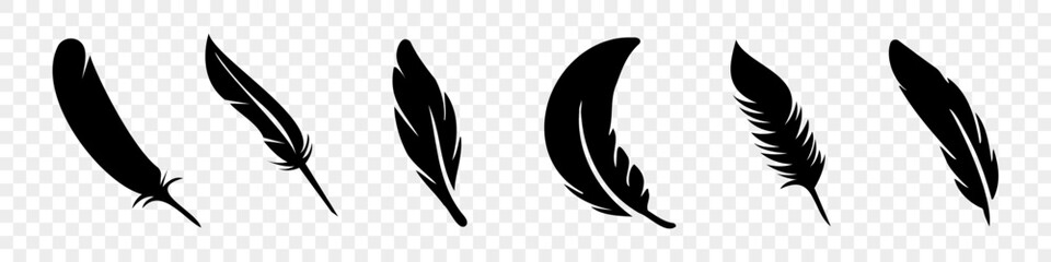 Set of black feather icon. Black feather collection