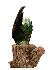 Gardening with log on transparent background.
