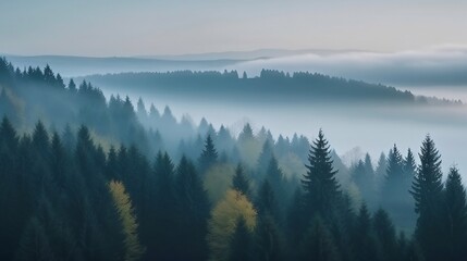 Obraz premium Serene Landscape of Fir Forest - Generative ai
