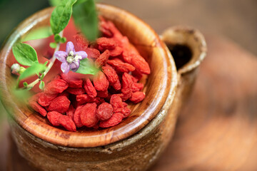 Goji berry and flower on nature background.