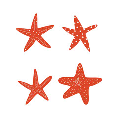 Starfish. Atlantic star. Marine Animal Vector illustration on white background.