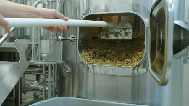 Close-up shot of hands of unrecognizable brewery employee raking out spent grain from lauter tun with hoe