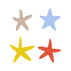 Starfish. Atlantic star. Marine Animal Vector illustration on white background.