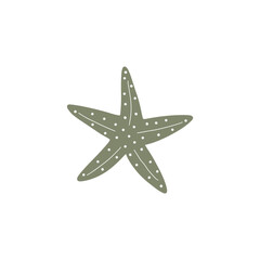 Starfish. Atlantic star. Marine Animal Vector illustration on white background.