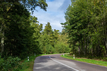 Fototapeta na wymiar An empty two-lane asphalt road in a summer green sunny forest. White markings on the road, reflective bollards on the side of the road. A road turn to the right. Bright sunshine, sky with clouds.
