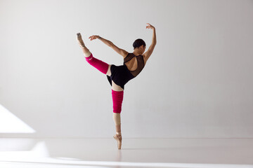 Back view. One beautiful ballerina wearing pointe shoes and demonstrating flexibility with graceful hand movements over white background © Lustre Art Group 