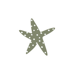 Starfish. Atlantic star. Marine Animal Vector illustration on white background.