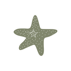 Obraz premium Starfish. Atlantic star. Marine Animal Vector illustration on white background.