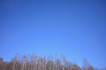 Background blue sky without clouds, sunny day.