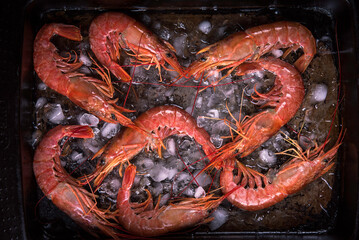 Langoustines on ice in a black tray.