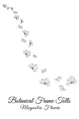 magnolia line flow of flower petals flowers.
frame and pink background vector illustration.