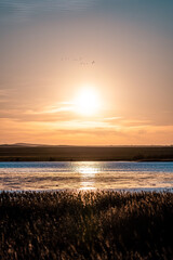 Obraz premium sunset on the beach