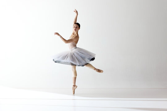 Fototapeta Portrait of tender young ballerina dancing, performing over white studio background. Beauty of classical dance