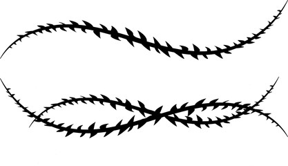Vector image of a vine with thorns. Barbed wire.