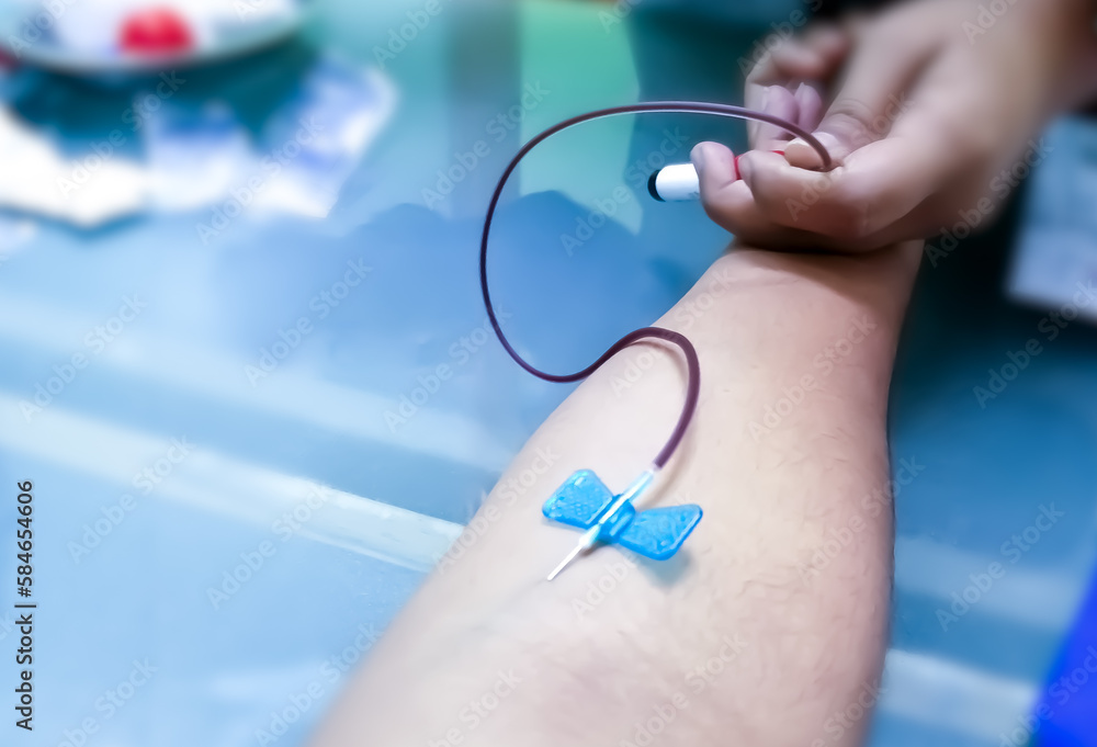 Sticker blood collection using venipuncture technique in arm for biological analysis, phlebotomist.