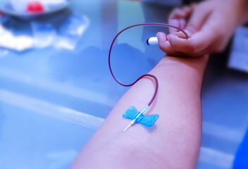 Blood collection using venipuncture technique in arm for biological analysis, phlebotomist.