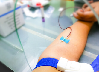 Blood collection using venipuncture technique in arm for biological analysis, phlebotomist.