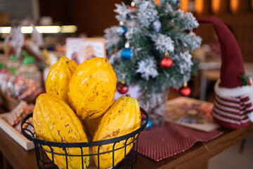 Chocolate ingredients, cocoa pods, cocoa beans, chocolate mass, cocoa powder, chocolate bars.