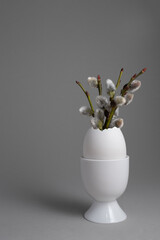 White eggcup with vase of white eggshells and willow sprigs on grey background © tg-photo