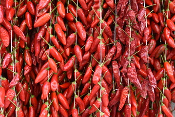 red hot chili peppers