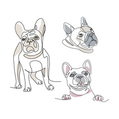 Dogs vector illustration