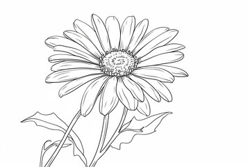 Daisy in a vector style isolated. Generative AI	