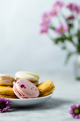 Small white plate with yellow, pink and ivory colored macaron cookies. French mini dessert with almond flour. Violet flowers on grey background. Spring or summer mood. Copy space