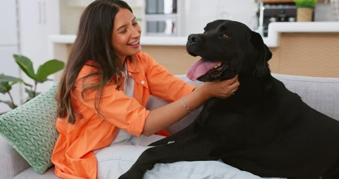Happy woman relax with her dog on sofa for mental health, wellness or emotional support, love and care. Young person relaxing on living room couch and stroking puppy pet, animal or Labrador retriever